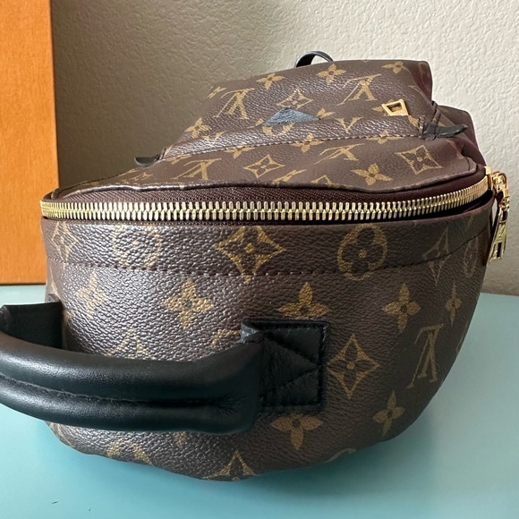 Louis Vuitton Palm Springs PM Monogram backpack - Picture 6 of 12